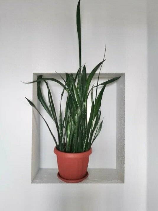 Фото Гостиницы Руна Петрозаводск 12