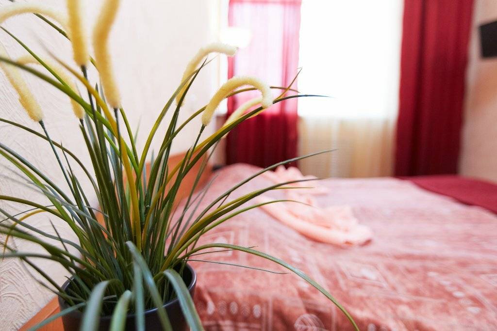 Фото Гостиницы Руна Петрозаводск 7